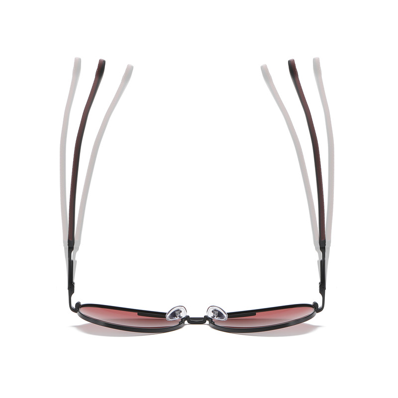 عینک آفتابی مردانه خلبانی آلبرت وگ مدل 6319C04-P141 Polarized Avantgarde Visionary