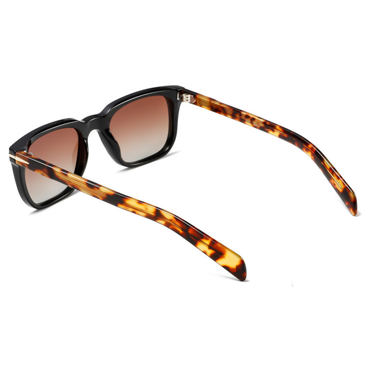 عینک آفتابی ویفرر (Wayfarer) آلبرت وگ مدل S31127C3 Acetate Avantgarde Visionary