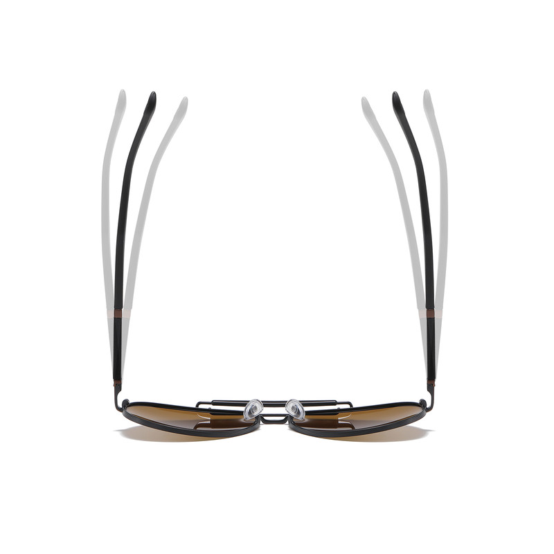 عینک آفتابی خلبانی (Aviator) مردانه آلبرت وگ مدل 6315C105-P130 Avantgarde Visionary